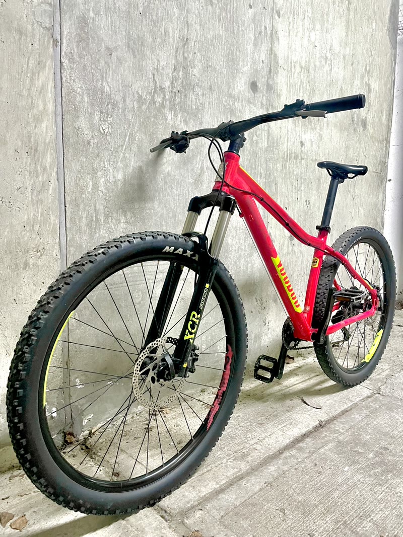 Flipped bike